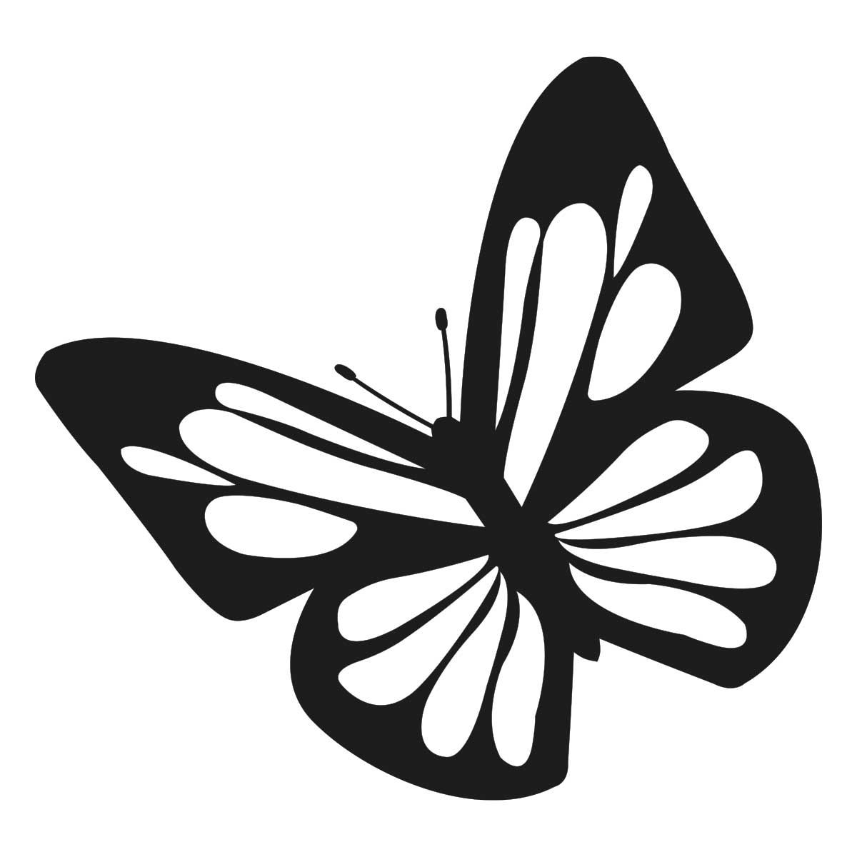 Mariposa D